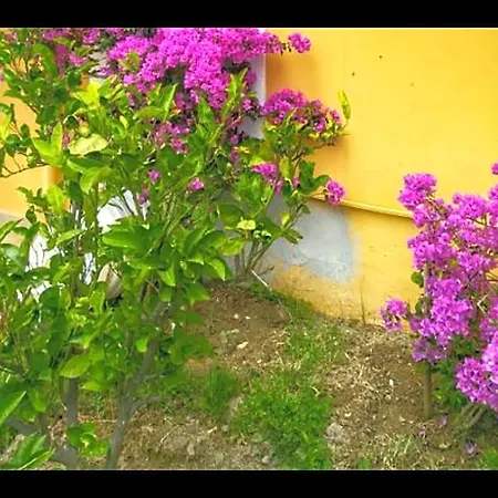 Uzun Ayvalik
